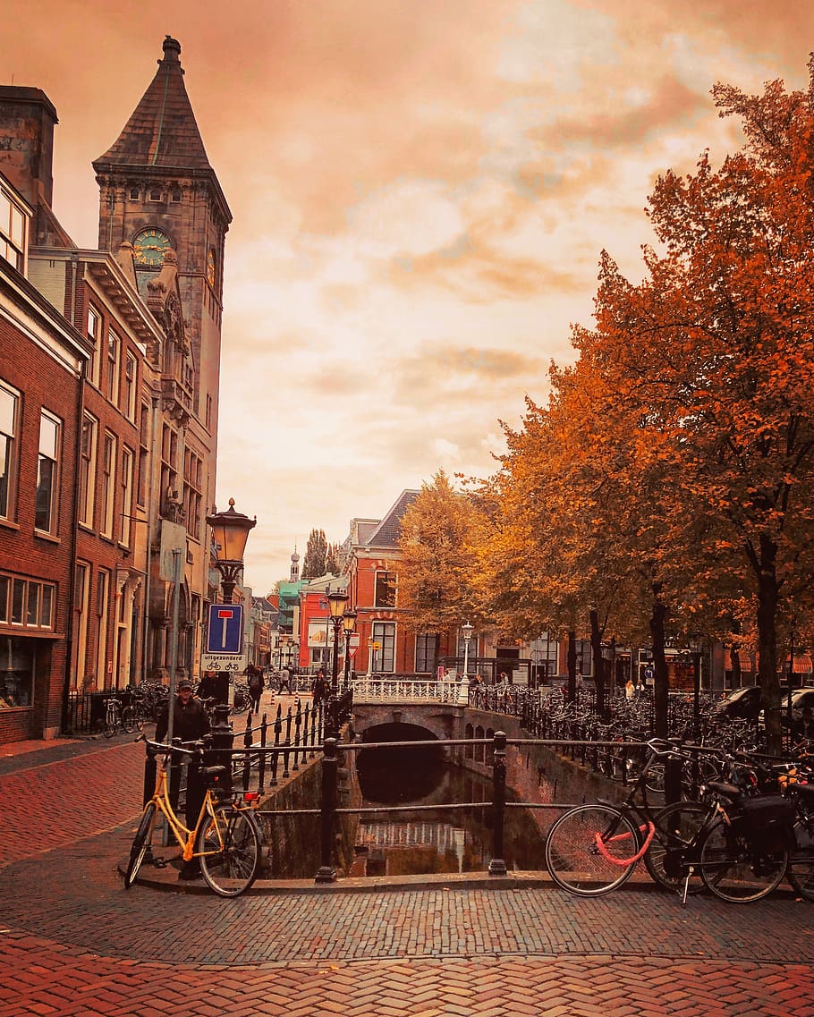 utrecht, janskerkhof, podzim, barvy podzimu, kanál