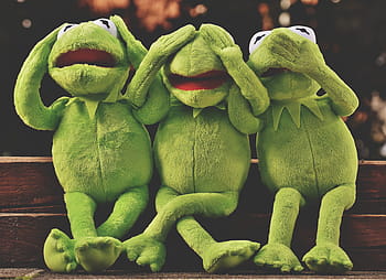 kermit, žába foto, neslyšet, nevidět, nemluv, legrační, žába, roztomilý, zábava, zelená, plyš