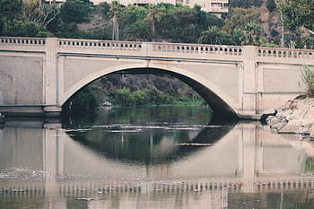 gray, bridge, green, leafed, trees, daytime, concrete, water, refleciton, reflection, bridge - man made structure