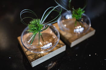 少し、 草の束、 リボン、 ガラスの瓶、 草、 束、 ガラス、 植物、 装飾、 装飾用、 小物