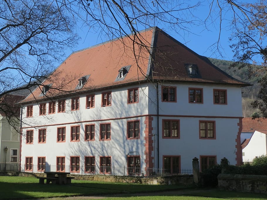 Casimirianum, Neustadt, Building, House, casimirianum, neustadt, architecture, facade, exterior, building exterior, bare tree, built structure