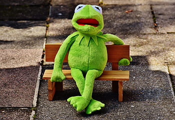 kermit, frog, bank, rest, sit, figure, funny, frogs, animal, plush, stuffed animal