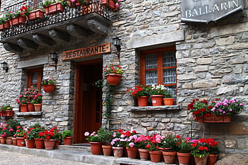 signalisation restaurante, restaurant, restaurant européen, fleurs en pots, bégonia, bégonia en pots, devanture de magasin, paroi rocheuse, bâtiment de roche, bâtiment en pierre, devanture européenne