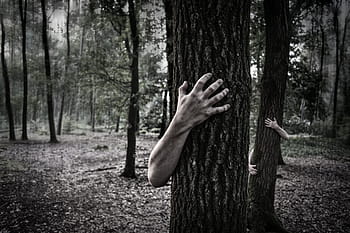 ruce, kmeny stromů, střední, les plakát, kufr, strašidelný, zombie, les, hrůza, děsivé, zlo