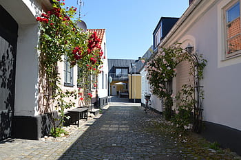 simrishamn, skåne, Švédsko, malmö, budova, Skandinávie, voda, krajiny, Příroda, himmel, letní