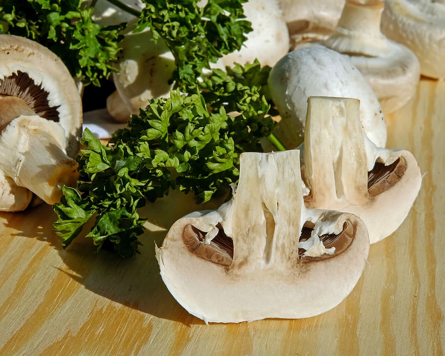 nakrájené houby, houby, bílá houba, jedlý, rostlina, lesní plody, frisch, zdravý, vegetariánský, jídlo, jíst