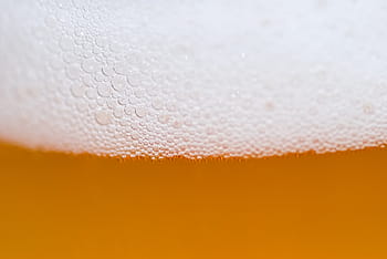 makro fotografie, kapalný, látka, pivo, pěna, bubliny, alkohol, sklenka, napít se, Studený, nápoj