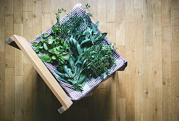 herbs, home, Drying, at home, top view, wood, wood - Material, green Color, food, freshness, high angle view