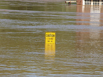 caution signage, body, water, Flood, Tennessee, River, Damage, Danger, tennessee, river, rain, nature
