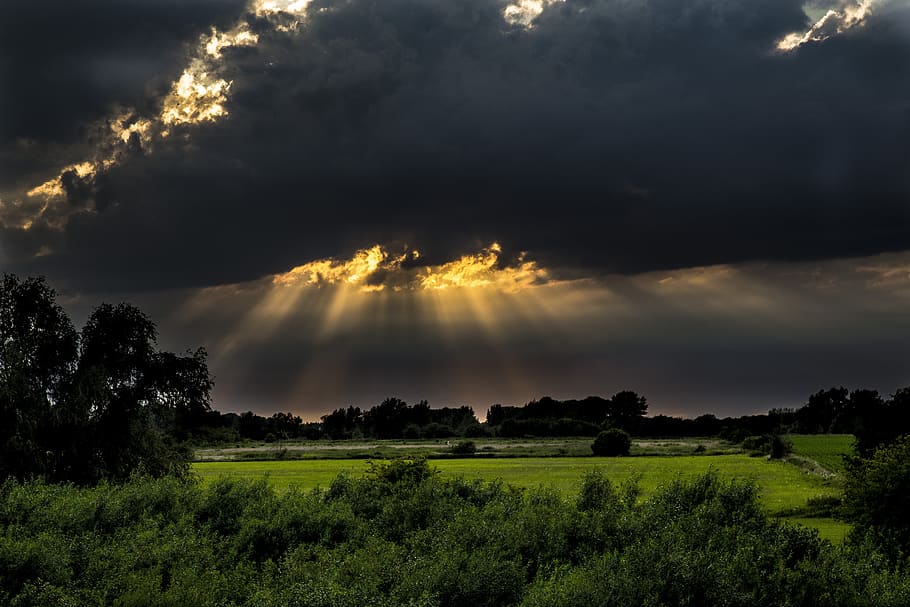 verde, piante a foglia, nero, nuvole, giorno, sera, tramonto, sole al tramonto, sole, natura, aria