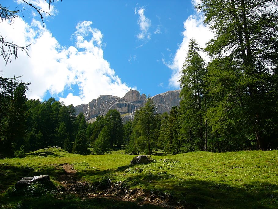 mountain, summer, val di fassa, dolomites, prato, green, clouds, trees, alps, mountains, nature