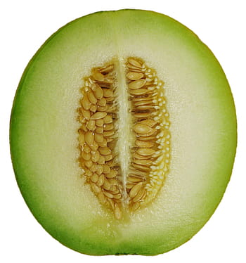 cross, section, Melon, Cross Section, Honeydew, melon cross section, cantaloupe, fruit, sweet, seeds, juicy