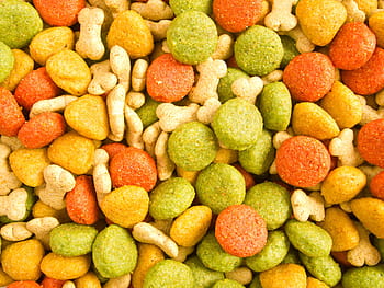 อาหาร, หมา, สัตว์, สัตว์เลี้ยง, อาหารสุนัข, อาหารการกิน, ลูกสุนัข