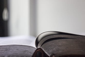 ještě pořád, položek, věci, rezervovat, stránek, otevřeno, listy, číst, řádky, bokeh, bílý