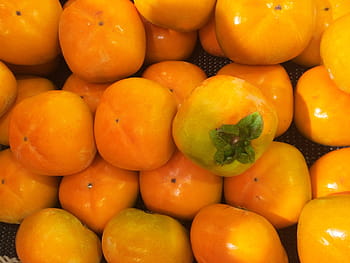 cachi, autunno, frutta, seiyu ltd, vivente, supermercato, frutta e verdura, Dipartimento, Heisei-cho, Yokosuka, Giappone