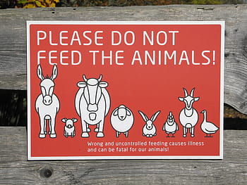 animals, shield, please do not feel the animals, do not feed, donkey, piglet, sheep, chicken, rabbit, goat, goose