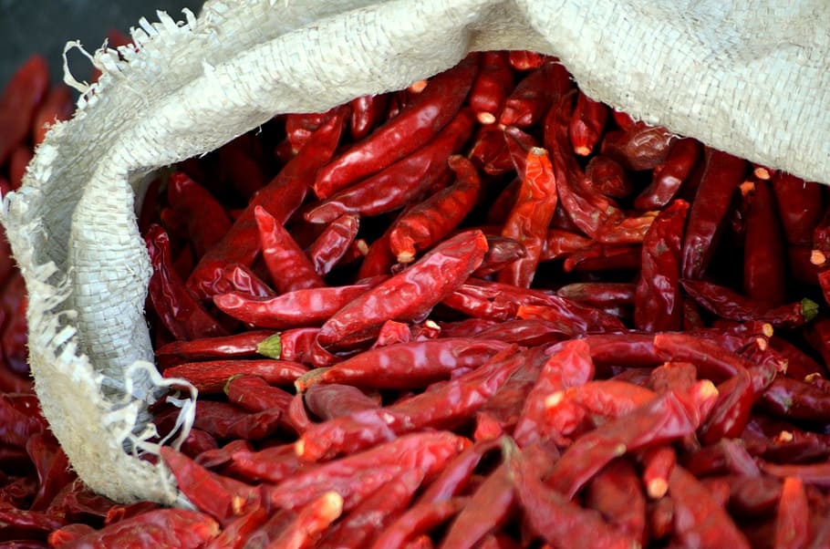 cibo, chili, rosso caldo, peperoni, Pepe, peperoncino, condimento, Spezia, freschezza, rosso, mercato