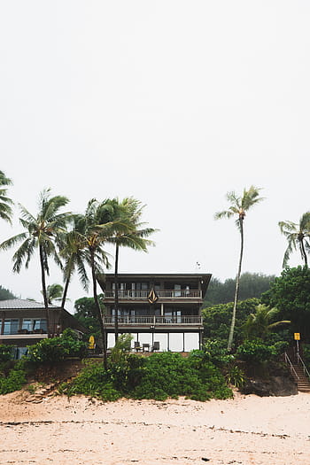 white, brown, wooden, 3-storey, 3- storey house, front, trees, sand, people, terrace, balcony