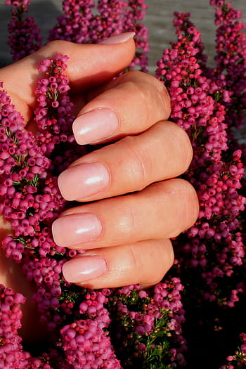 fingernails, baby boomers, manicure, nail design, nail varnish