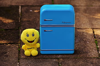 yellow, plush, toy, blue, top-mount refrigerator, full fridge, happy, smiley, funny, cheerful, emotion