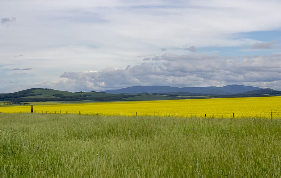 earth, summer, grass, simplicity, light, sun, landscape, natural, meditation, young
