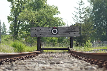 brown, train railway, surround, green, leaf trees, buffer stop, end of track, seemed, track, railway, train