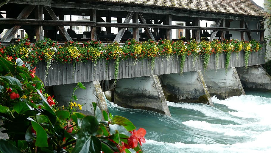 serratura, Aare, thun, Svizzera, ponte pedonale, città vecchia, fiume