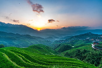 terrace, sunrise, travel, landscape, china, guilin