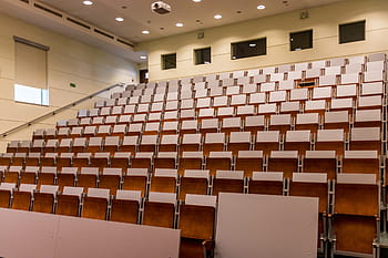brown, wooden, chair lot, white, projector, room, lecture hall, assembly hall, audience, lectures, school