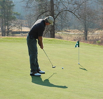 Putting, Green, Golf, Sport, golfer, putting, green, course, grass, leisure, club, ball