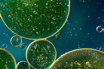 green cells, oil in water, oil eye, liquid, abstract, texture, macro, oil, close, background, cells