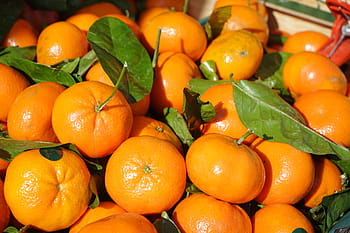 hromada, oranžový, ovoce, klementinky, vitamíny, klementine, citrus × aurantium, hybridní, citrus, citrusové ovoce, mandarinka