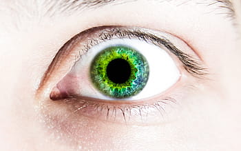 person, left, eye, green, pupil, pupils, face, human eye, human body part, eyelash, iris - eye