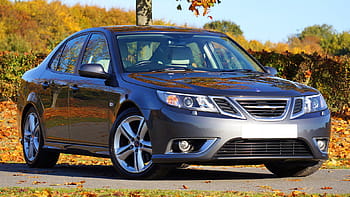 szürke chrysler szedán, autó, jármű, szürke, park, természet, levelek, szárazföldi jármű, szállítás, motor, kerék