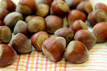 ořechy, lískové oříšky, hnědý, jídlo, jíst, občerstvení, ovoce, líska