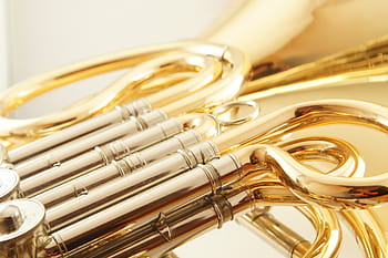 close-up photo, trumpet mouthpiece, french horn, wind instrument, brass instrument, musical instrument, horn