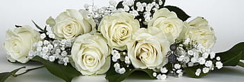 bílý, růže, dech, květiny, květ, růže květina, gypsophila, Příroda, kytice, milovat, svatba