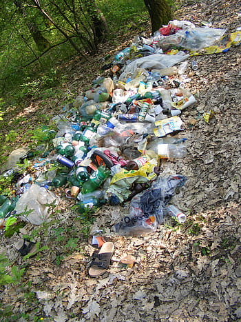 Ecology, Forest, Garbage, green, recycling, nature, environment, pollution, environmental issues, environmental conservation, plastic