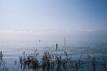 chiaro, guarda i cieli, corpo, fotografia d'acqua, vista chiara, cieli, corpo d'acqua, fotografia, blu, rami, grigio