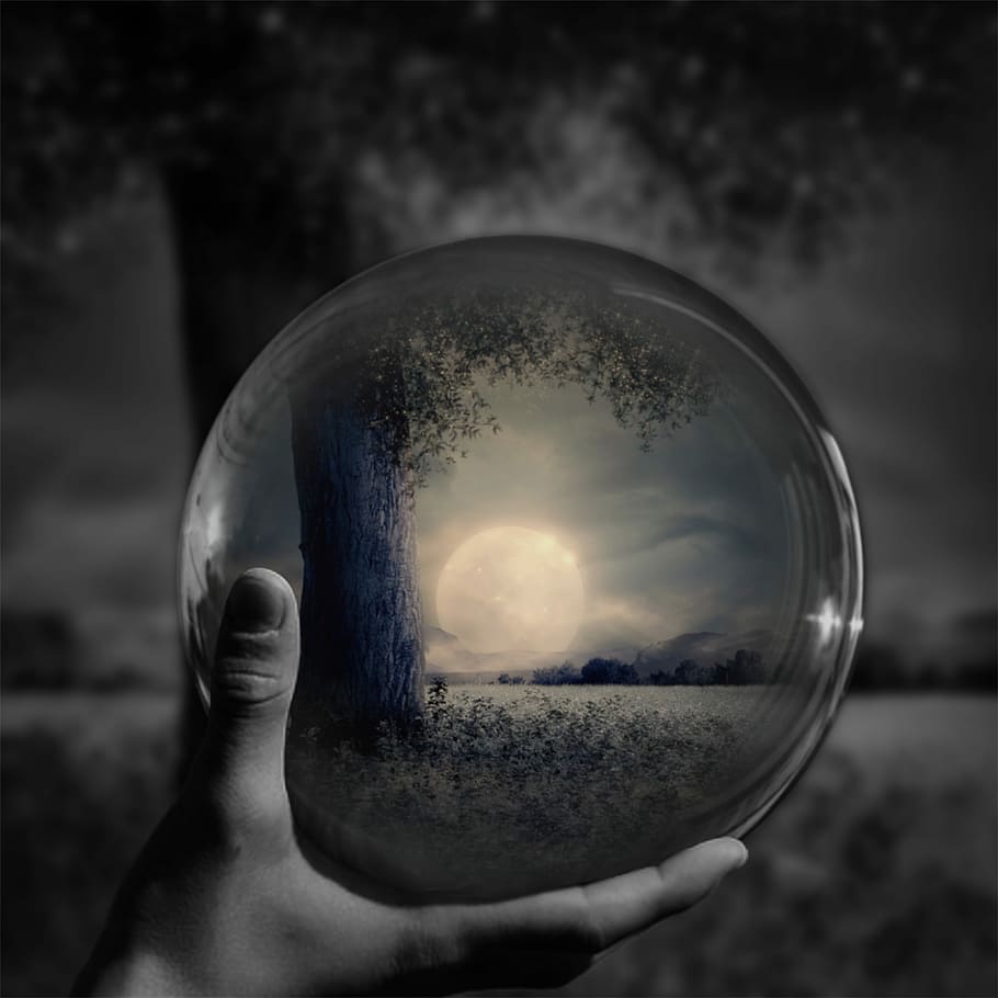 clear glass ball, ball, moon, sphere, forest, black and white