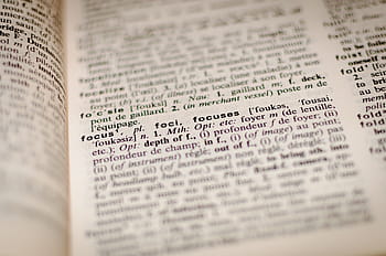 slovo slovní zásoba, foci, zaměřuje, text, soustředit se, slov, slovník, rezervovat, studie, učení se, vzdělání