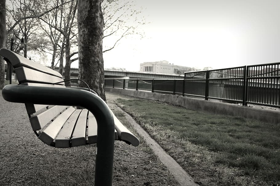 bench, river, park