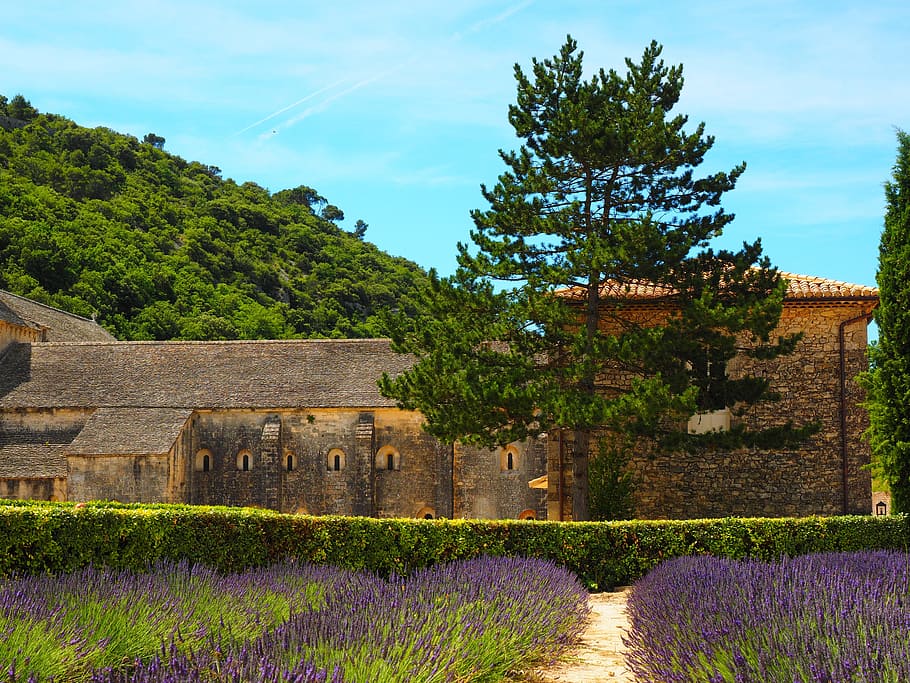Abbaye De Sénanque, Monastery, Abbey, notre dame de sénanque, the order of cistercians, gordes, vaucluse, france, cistercian monks, sénanque abbey, zisterzienser