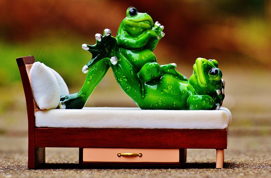 mom and child, frogs, bed, concerns, funny, cute, frog, figure, animal, beautiful, green