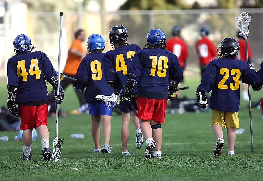 lacrosse, lax, team, players, sport, stick, equipment, field, game, uniform, young