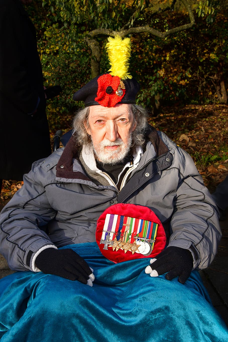 den vzpomínek, den veteránů, vojenský, voják, čest, armáda, válka, veterán, patriotismus, vzpomínka, vlastenecký