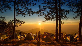 camping, fuego, campamento, carpa, naturaleza, fogata, aventura, noche, al aire libre, fondo, hoguera
