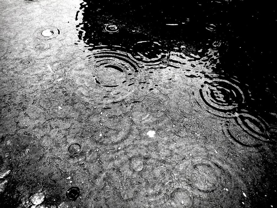 rain, drops, ground, wet, raining