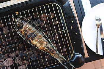 grilovaná ryba, grilovaný, Ryba, grilování, pohled shora, gril, jídlo, vaření, maso, teplota - teplota, gurmán