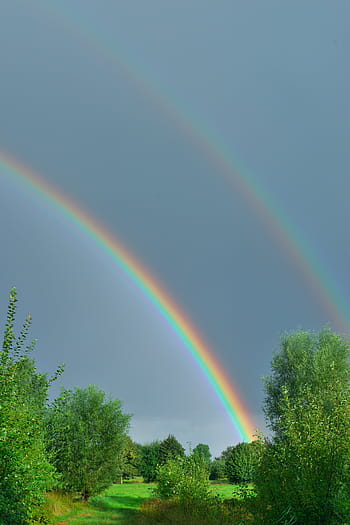 fotografování duhy, během dne, svítání, duha, dobré ráno, přátelský, nebe, morgenstimmung, romantický, louka, Příroda